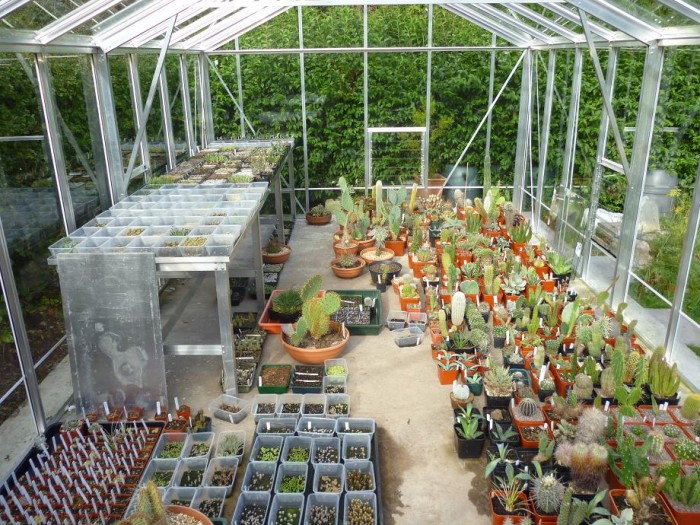 Populating a greenhouse is always the fun part and also the easy part. The more space you have, the more you grow