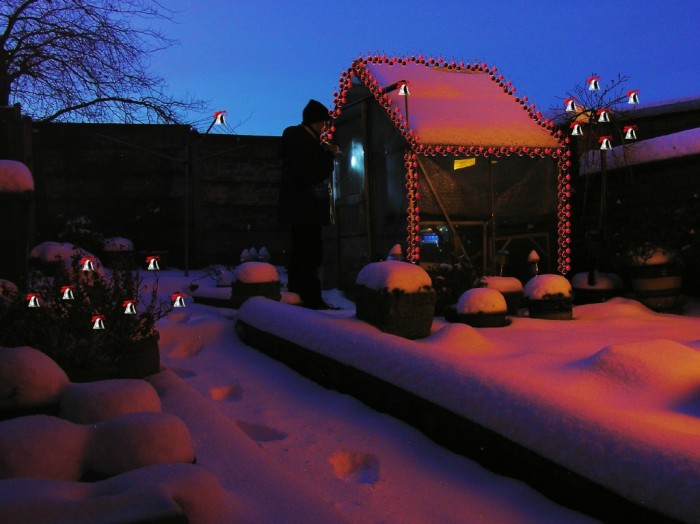 snowbound_greenhouse[lights2]_1.jpg